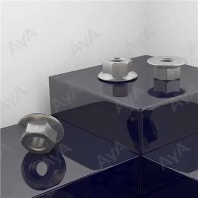 Nut transet stinless stàilinn